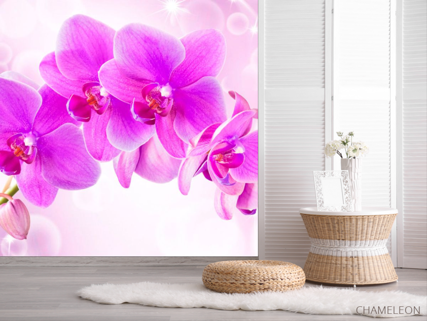 Фотошпалери Орхідеї - 2