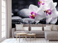 Фотообои Белые с малиновым орхидеи - 3