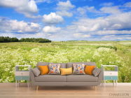 Фотообои поле - 1