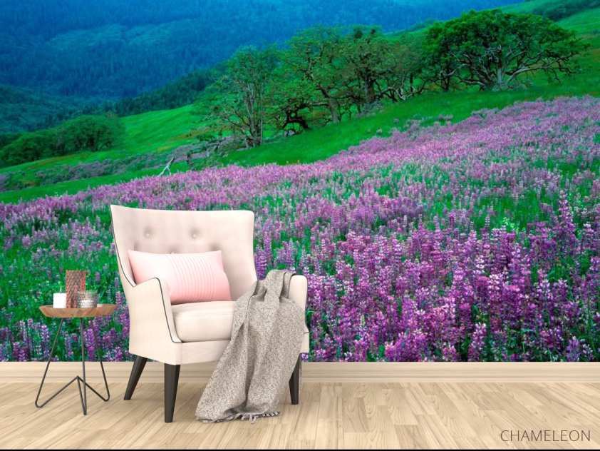 Фотообои Гармония на луке - 4