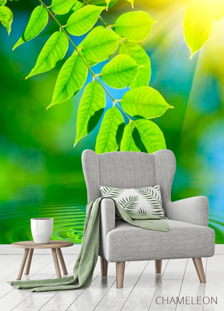 Фотообои Зелень над водой - 3