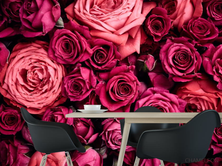 Фотошпалери Троянди - 1