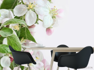 Фотошпалери біло-рожеві квіточки - 1