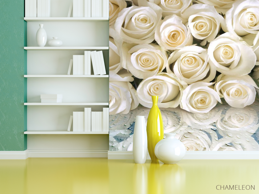 Фотошпалери Білі троянди з росою - 3