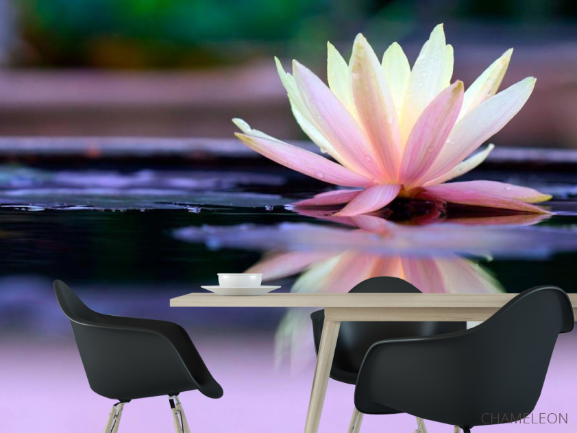 Фотошпалери Квітка - 1