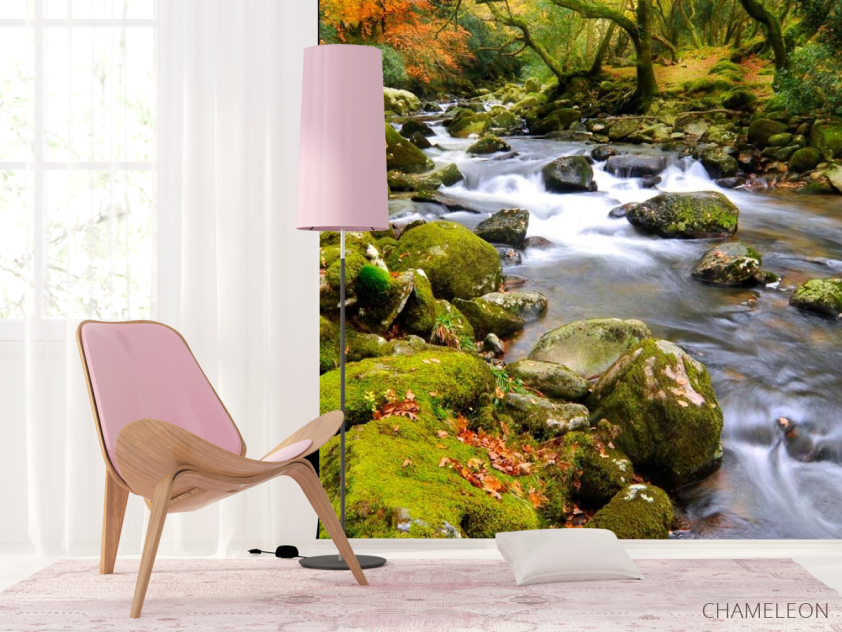 Фотошпалери Камені, мох - 4