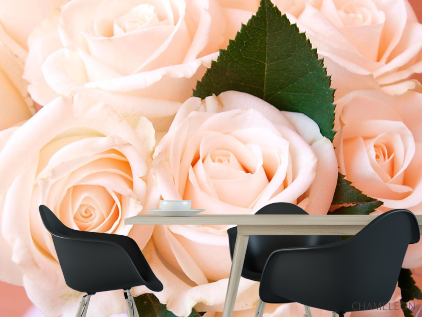 Фотошпалери Троянди - 1