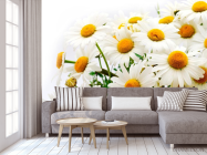 Фотообои Букет полевых ромашек - 3