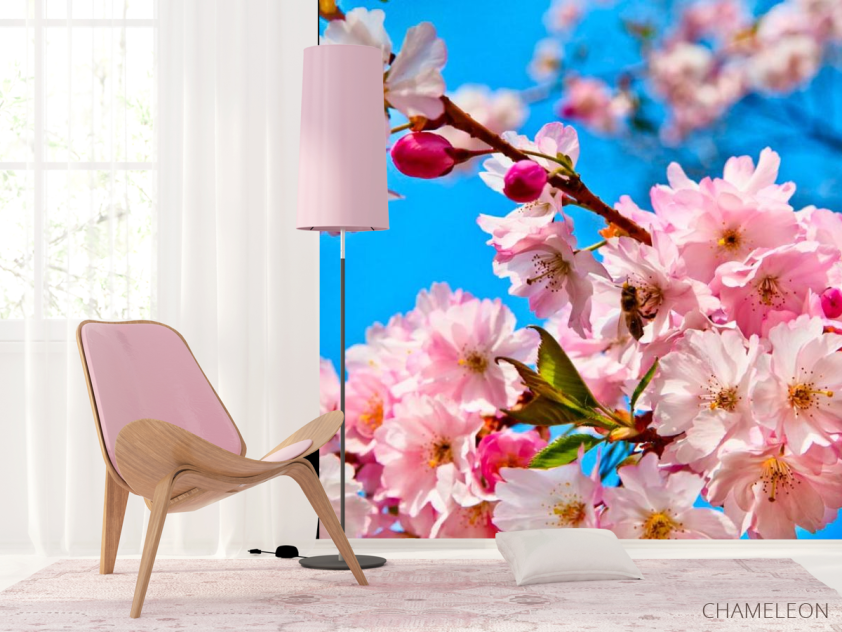 Фотошпалери Суцвіття шипшини - 4