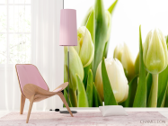 Фотошпалери Тюльпани - 4