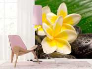 Фотошпалери Квіти, каміння, роса - 4