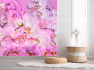 Фотошпалери Дизайнерська колекція - 2