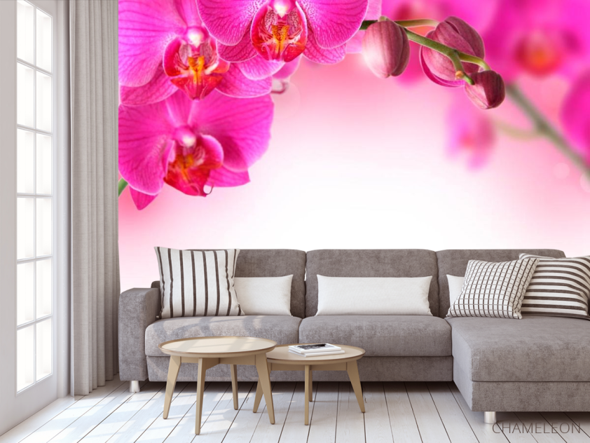 Фотообои Веточка орхидей розовых - 3