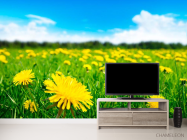 Фотообои Одуванчиковое поле - 2