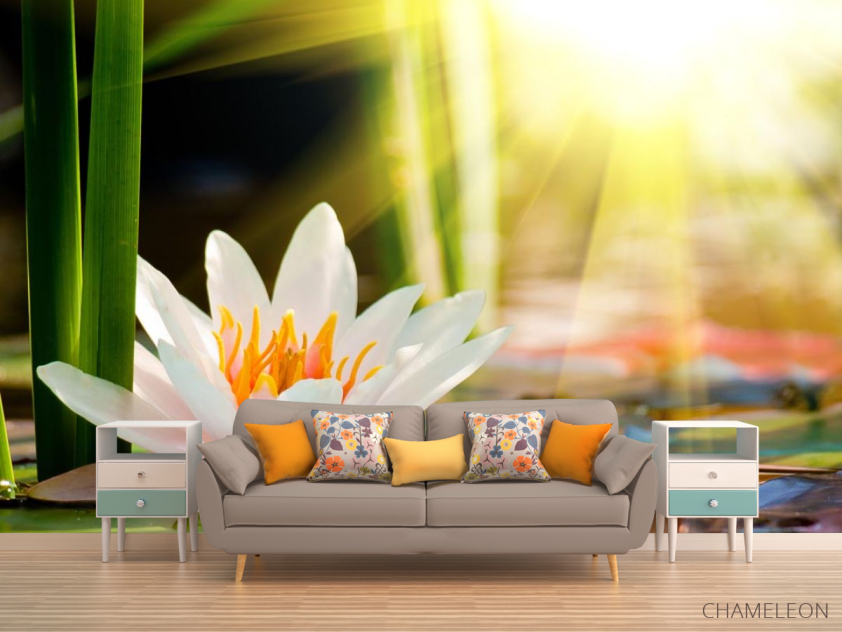 Фотообои белая водяная лилия - 1