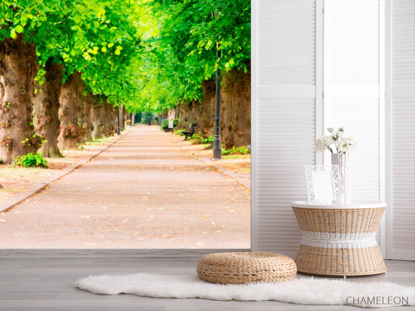 Фотошпалери Тунель з дерев - 2