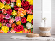 Фотообои Розы разноцветные - 2