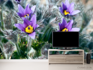 Фотообои Фиалки - 2