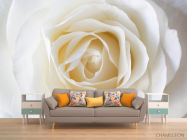 Фотообои белая роза - 1