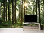 Фотообои лес со стройными деревьями - 2