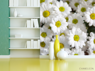 Фотошпалери Ромашки білі - 3