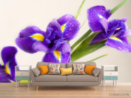 Фотообои синий цветок - 1