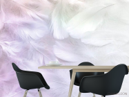 Фотошпалери Білі пір'я з рожевим - 1