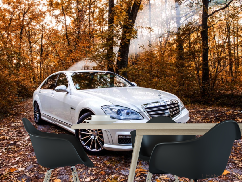 Фотошпалери біла машина в лісі - 1