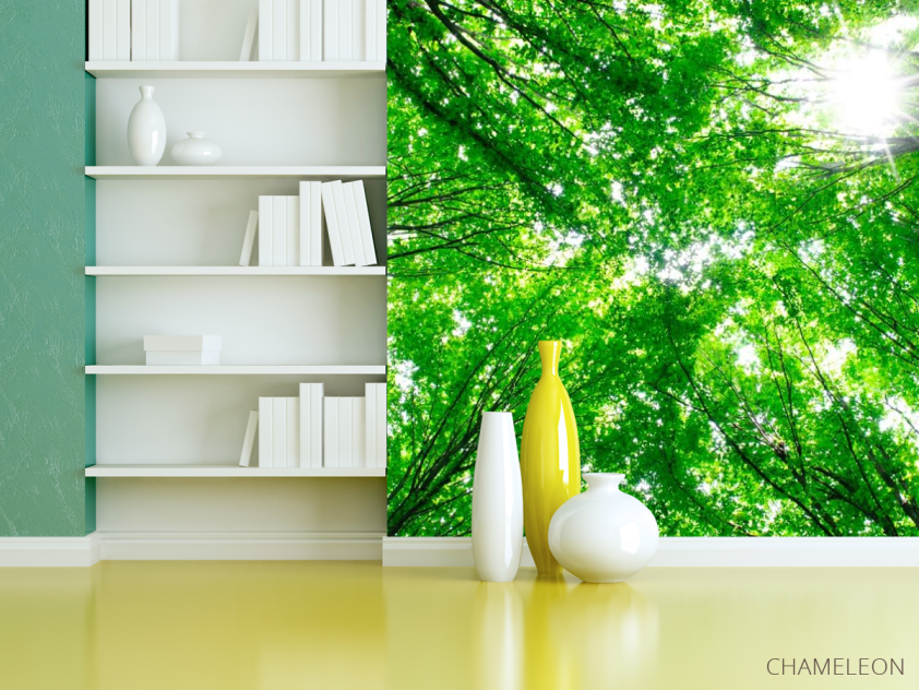 Фотошпалери Дерева, світло - 3