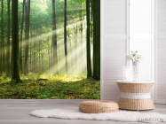 Фотошпалери сонячні промені в лісі - 2