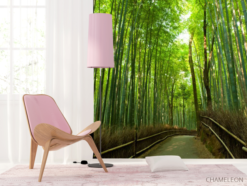 Фотошпалери алея через бамбук - 4