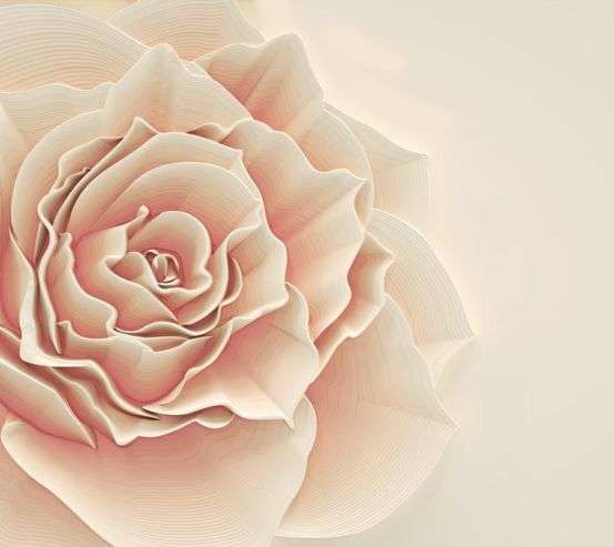 Фотообои Бежевая обьемная роза 22203