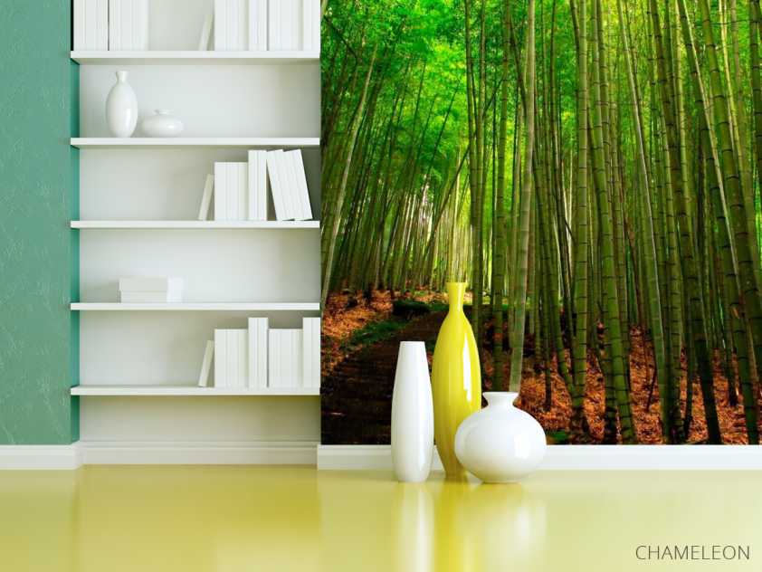 Фотошпалери Бамбук, стежка - 3