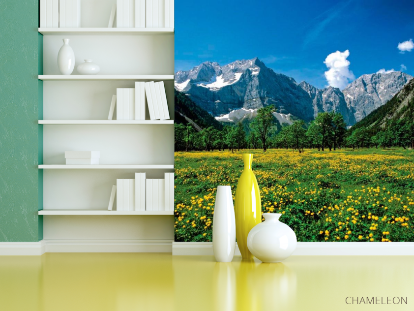 Фотошпалери Квітковий луг гори - 3