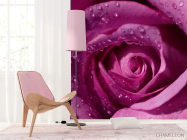 Фотошпалери Троянда - 4