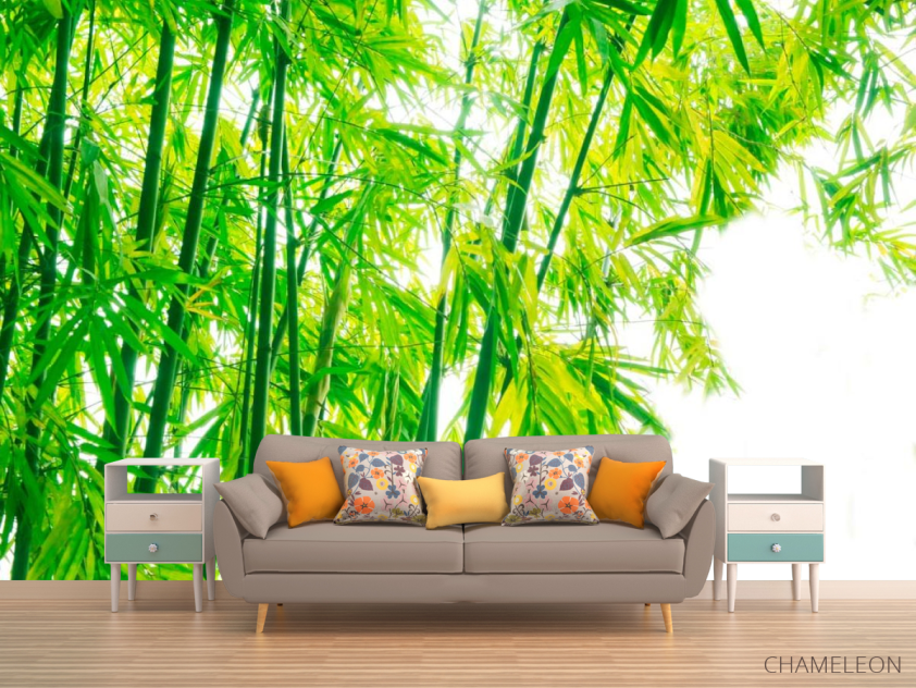 Фотообои Детки, бамбук - 1