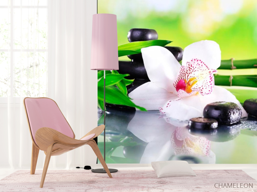 Фотошпалери Квітка орхідеї - 4