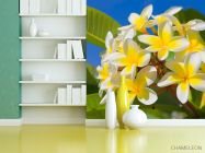 Фотошпалери Жовто-білі квіточки - 3