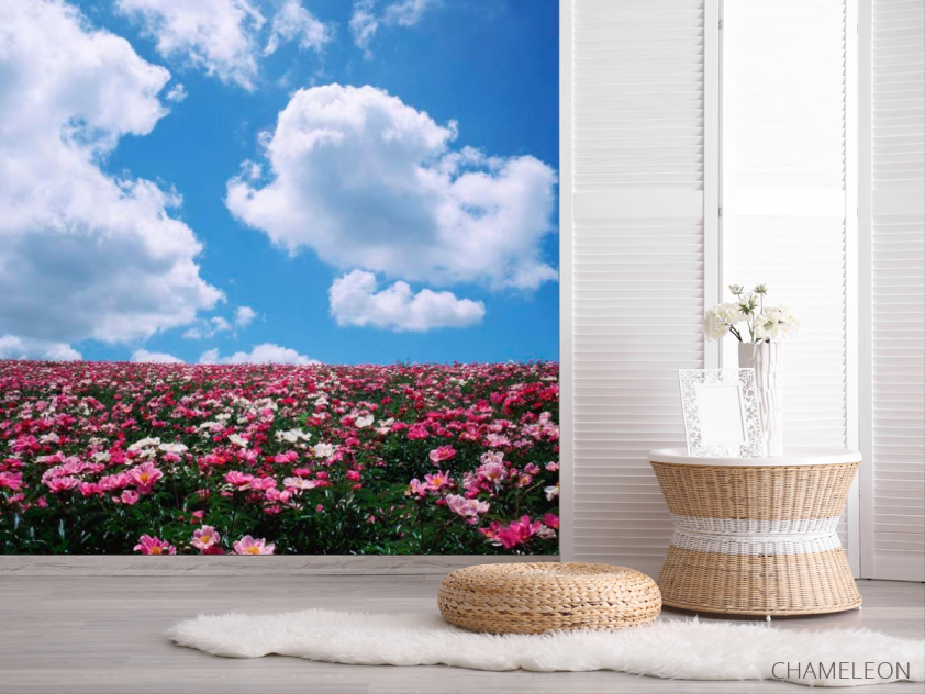 Фотошпалери Квіти, небо, хмари - 2