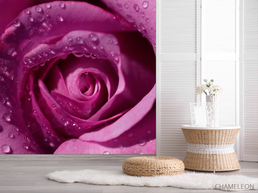 Фотошпалери Троянда - 2