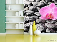 Фотошпалери Орхідея, роса, камені - 3