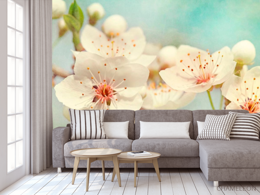 Фотообои Соцветия цветов черешни - 3