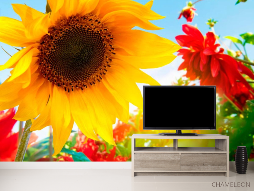 Фотообои Подсолнух и гербера - 2