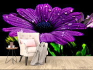 Фотообои Фиолетовый цветок - 4