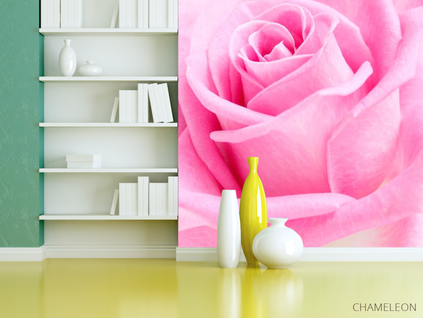 Фотошпалери Макро-зйомка троянди - 3