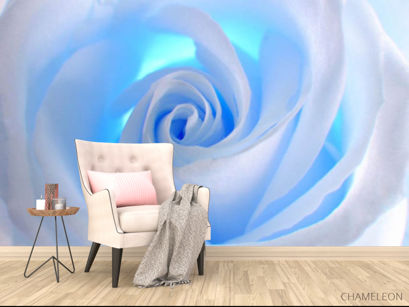 Фотообои роза - 4