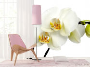 Фотошпалери Орхідеї жовто-білі - 4