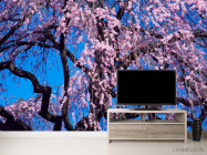 Фотообои Цветущая сакура - 2