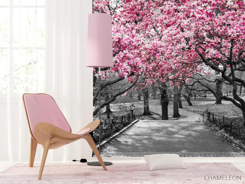 Фотошпалери Рожеві дерева в парку - 4