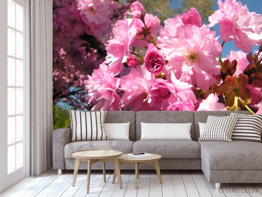 Фотообои розовое цветение - 3